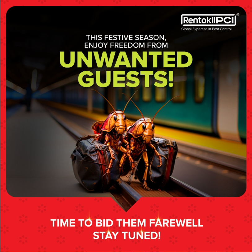 Rentokil pest control festive visual variation